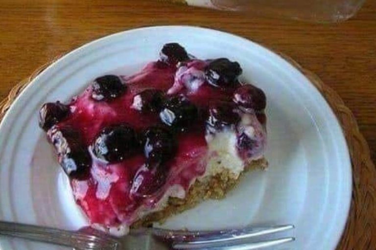 FRESH BLUEBERRY CHEESECAKE WITH HOMEMADE CRUST