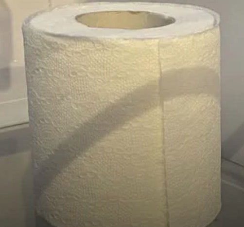 Why People Keep A Roll Of Toilet Paper In Their Fridge!!!