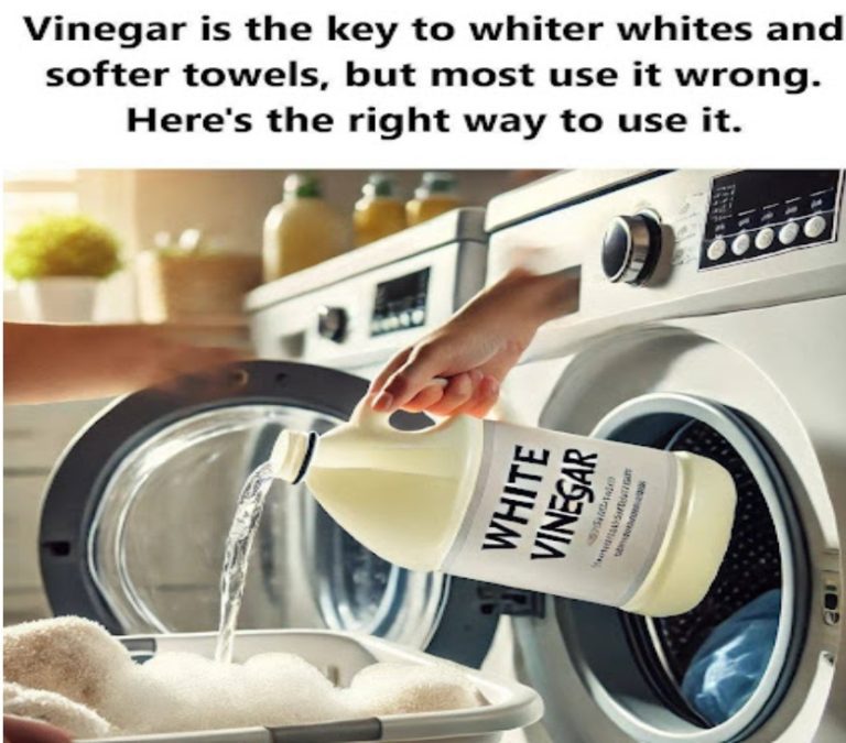 Vinegar is the key to whiter whites and softer towels, but most use it wrong. Here’s the right way to use it.
