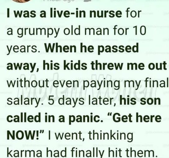 They Treated Me Like Just a Nurse for Ten Years Until One Hidden Envelope Changed Everything