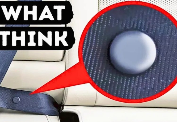 What the Little Button on Your Seat Belt Really Does