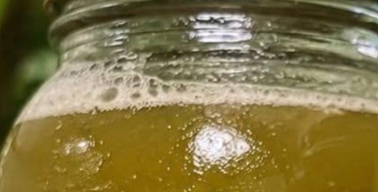 Herbal Green Support Drink