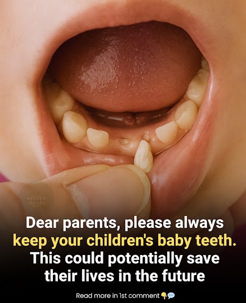 Tiny Teeth, Big Possibilities: The Promise of Stem Cells in Baby Teeth