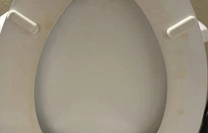 How to Safely and Effectively Remove Stubborn Toilet Seat Stains