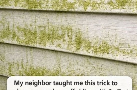 My neighbor showed me a simple trick for removing green algae from siding with almost no effort, and it works like a charm