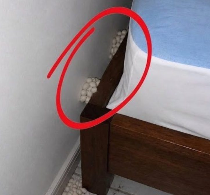 I arrived home exhausted, expecting a peaceful night, but one detail made me realize something was wrong.