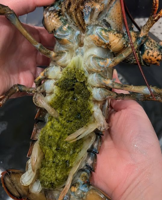 The Mystery of Lobster’s Green Goodies