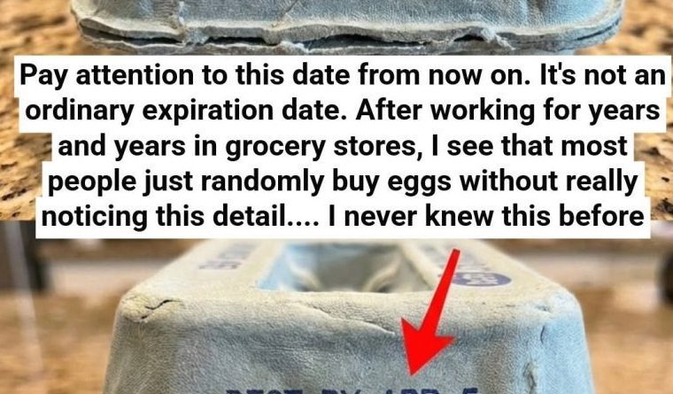 What the Numbers on Your Egg Carton Really Mean (And Why It Matters)