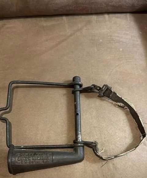 Can You Identify This Brass Beauty? The Fascinating History of the Antique Horse Drencher