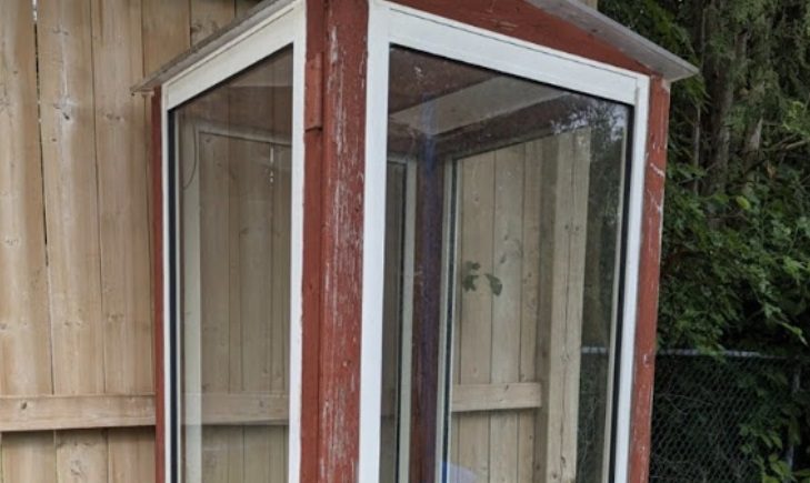The Magical Return of the Backyard Mushroom House: Why This Forgotten Garden Gem Deserves a Comeback