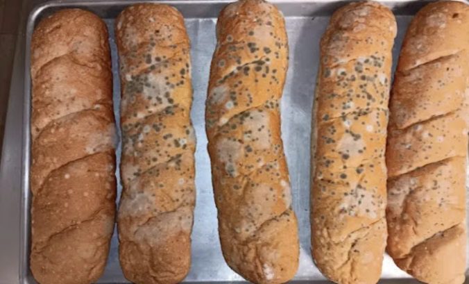 Is Stale Bread Safe to Eat? The Science, Safety, and Genius Ways to Revive It