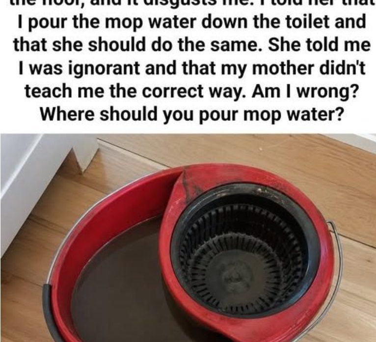 Where to Dispose of Dirty Mop Water: Toilet or Bathtub?