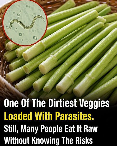 Why Raw Green Onions Can Carry Hidden Risks—and How to Eat Them Safely Raw green onions can harbor germs if not cleaned and handled with care.