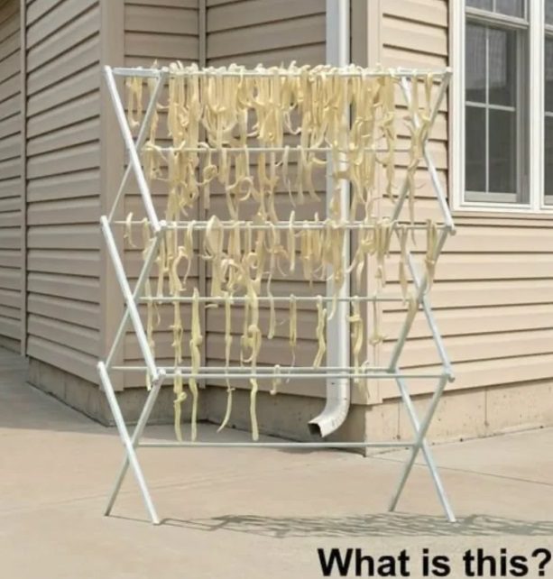 The Sun-Dried Mystery: How Homemade Pasta Turned an Ordinary Backyard Into a Neighborhood Puzzle