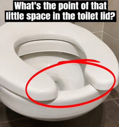Have You Ever Wondered Why Public Restrooms Have U-Shaped Toilets?