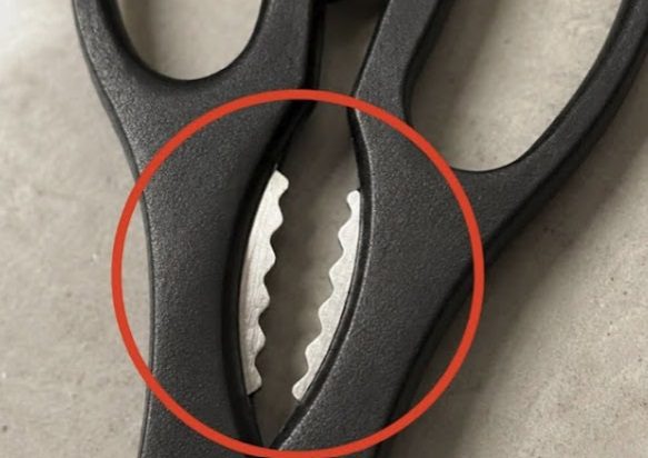 What Is That Weird Toothed Part on Kitchen Scissors For? (And 4 Brilliant Hacks You’ve Been Missing)