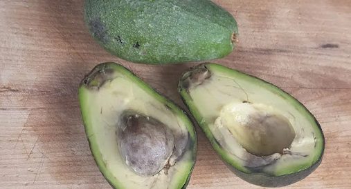What Those Strange Strings in Your Avocado Really Mean — And Why You Shouldn’t Worry